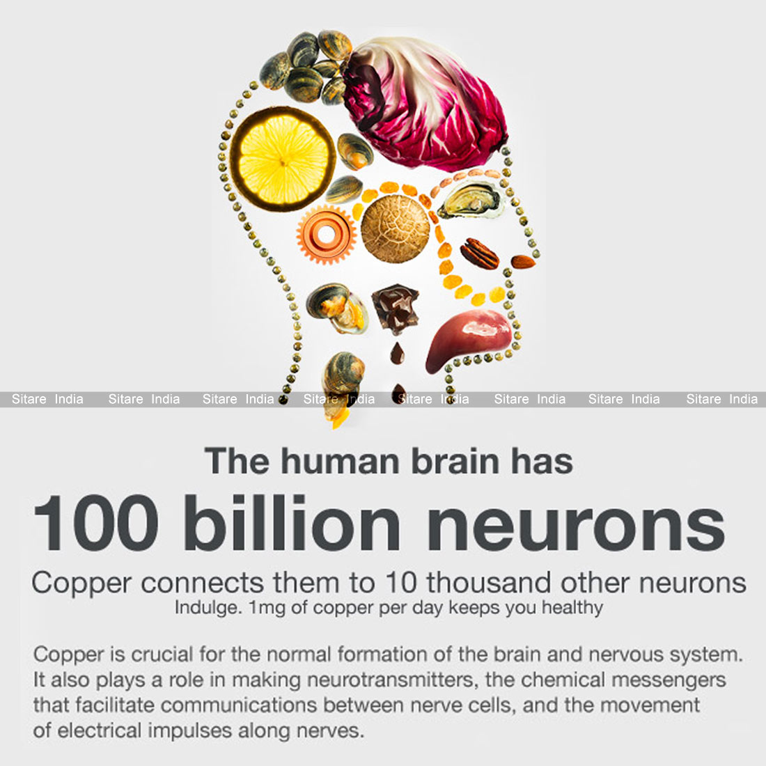 Pure Copper Plain Rounded Ring Sun Astrology Band - Image 5