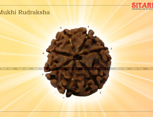 Benefits of 7 ( Seven ) Mukhi Rudraksha